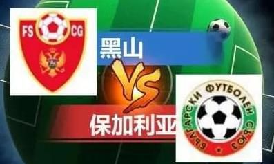 《主人》电影免费观看全集