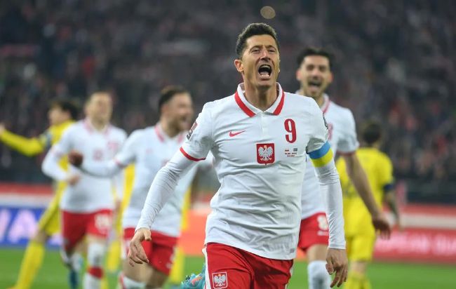 3a毛片