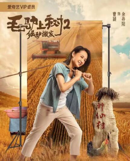 国产精品久久久久网站