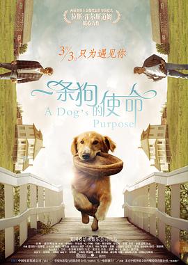 展昭艳谈