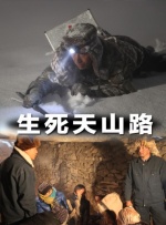 久久精品视频在线看