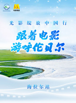 久久伊人网视频