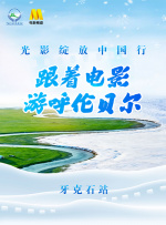 金8天国在线观看