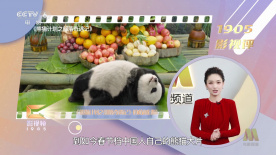啊轻点灬大ji巴太粗太长了情侣